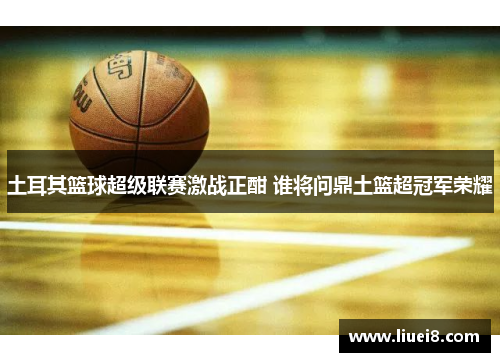 土耳其篮球超级联赛激战正酣 谁将问鼎土篮超冠军荣耀 土耳其篮球超级联赛激战正酣 谁将问鼎土篮超冠军荣耀