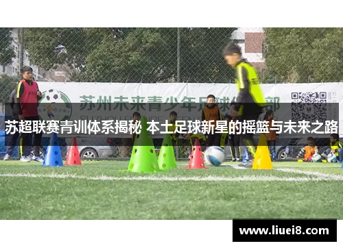 苏超联赛青训体系揭秘 本土足球新星的摇篮与未来之路 苏超联赛青训体系揭秘 本土足球新星的摇篮与未来之路