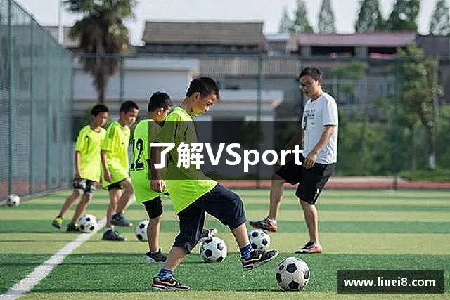 了解VSport